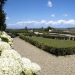 Giardino Villa Tiganello
